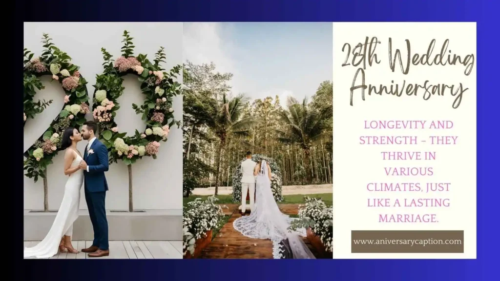28th anniversary ideas Modern
