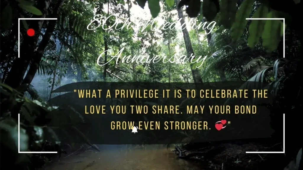 Wedding Anniversary Wishes for Couple