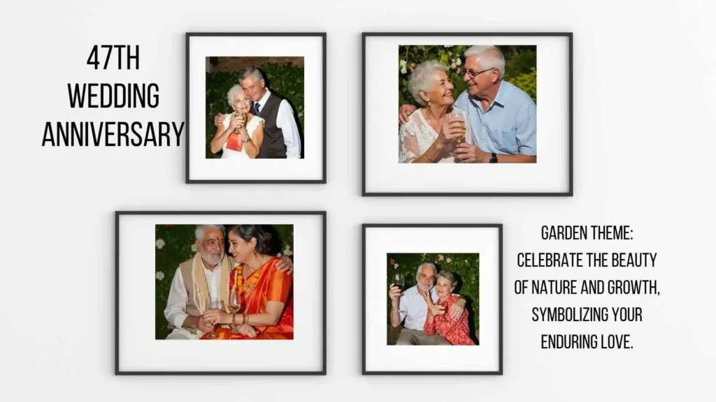 47th Anniversary Rich Themes
