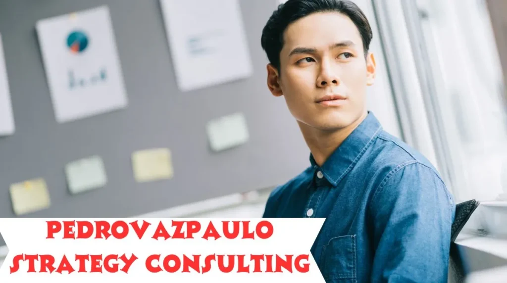 Pedrovazpaulo Strategy Consulting
